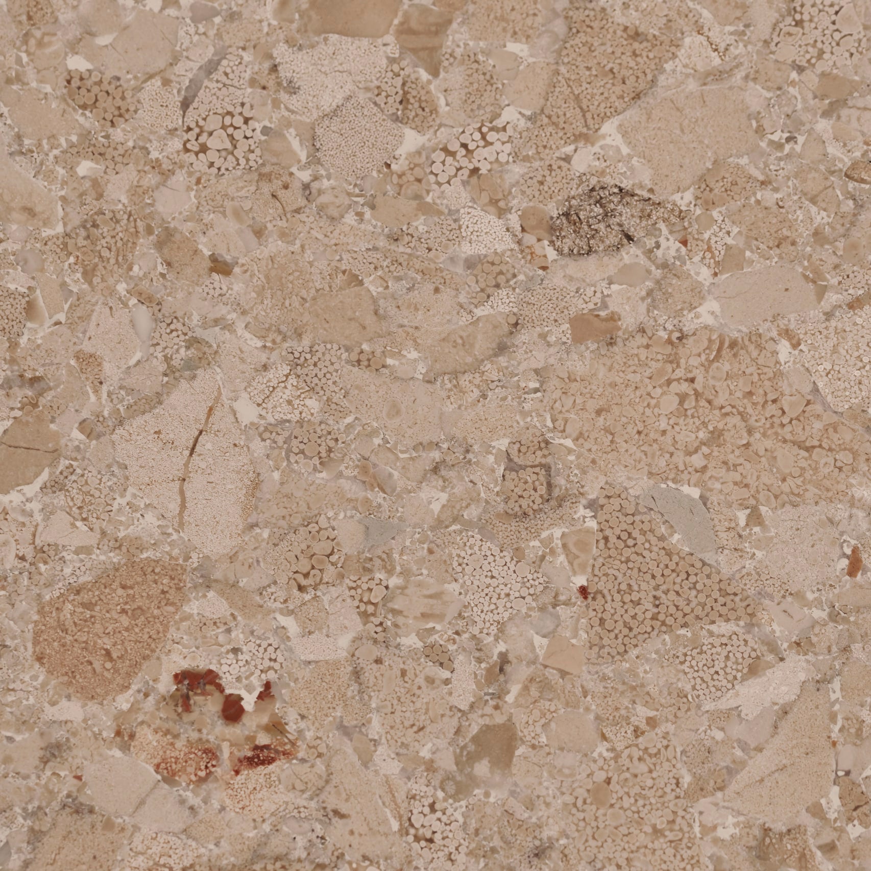 Sample Crema Altea marble