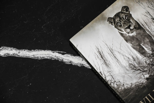 Zwarte salontafel ovaal