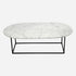 Glossy oval marble coffee table in Bianco Carrara white with sleek design, featuring a smooth marble surface and modern style.
